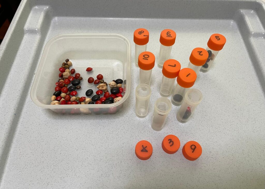 sorting counting