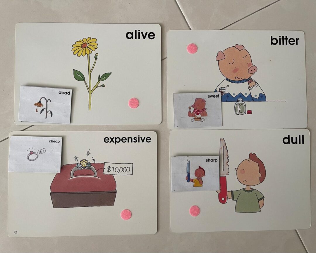 Vocab Cards