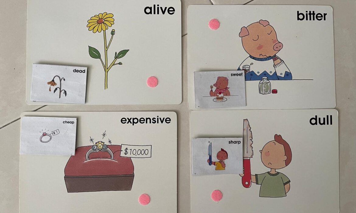Vocab Cards