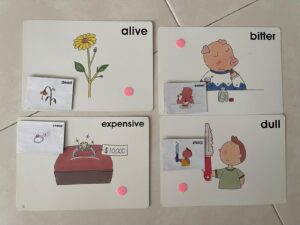 Vocab Cards