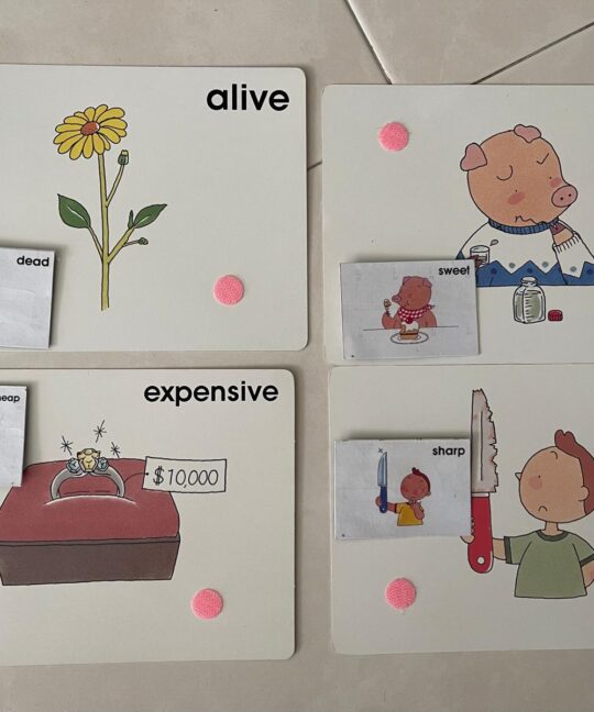 Vocab Cards